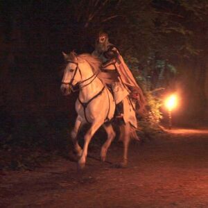 chevalier blanc marc bo img