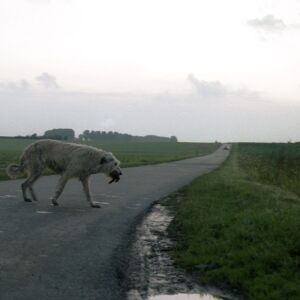 en territoire indien094133