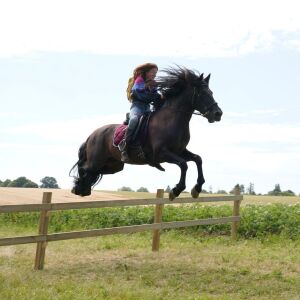 thd day14 sc126     dsc03330